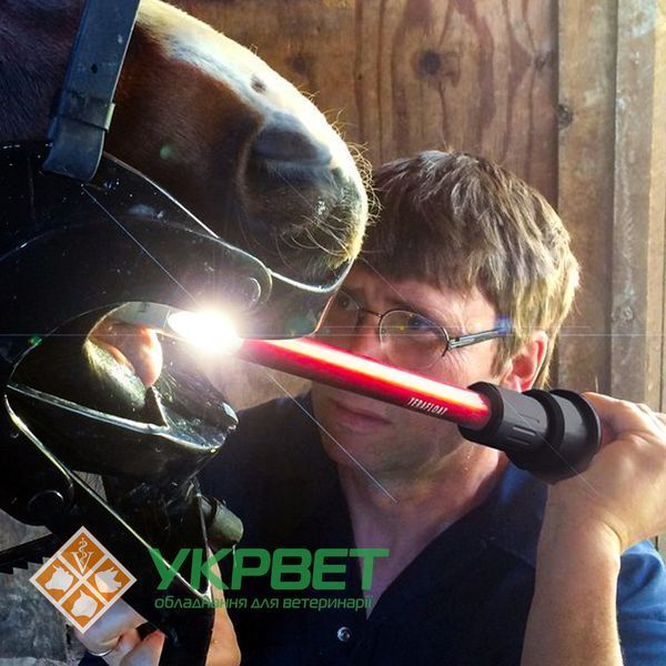 фото Стоматологічна бормашина для коней Terafloat LED Professional XS 1401-0058 УкрВет