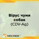 Експрес-тест для виявлення вірусу чуми собак (CDV Ag), VIDV-502, 10 шт 1091-0001 фото 1 УкрВет