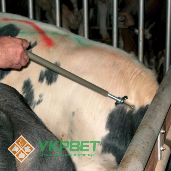 фото Шприц Geniaplex подовженого типу, з люер-лок з&rsquo;єднанням, 20 мл 0515-1018 УкрВет