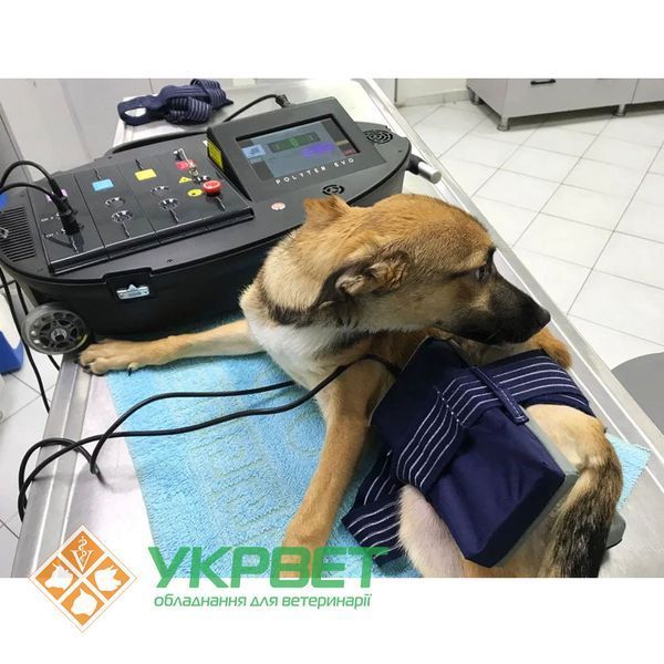 фото Багатофункціональний апарат для фізіотерапії Polyter Vet  1406-0005 УкрВет