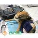 Багатофункціональний апарат для фізіотерапії Polyter Vet  1406-0005 фото 3 УкрВет