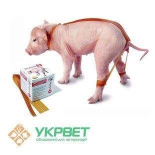 фото Лента силиконовая для фиксации конечностей у новорожденных поросят Splaylegstop 0408-0514 УкрВет