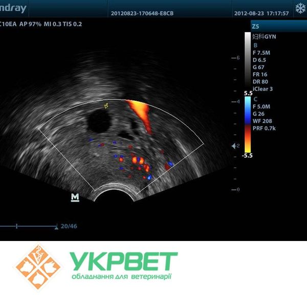 УЗИ аппарат цветной, Mindray Z5 0105-0039 фото