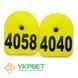 Бирка ушная арка, номерная, Schippers 0409-0535 фото 6 УкрВет