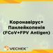 Експрес-тест на наявність антигену коронавірусу + вірусу панлейкопенії котів (FCoV+FPV Antigen), комбін., VIFF-625 1091-0030 фото 1 УкрВет