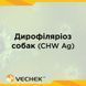 Експрес-тест для виявлення дирофіляріозу собак (CHW Ag), VIHW-402, 10 шт 1091-0005 фото 1 УкрВет