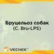 Експрес-тест для виявлення бруцельозу собак (C. Bru-LPS Ab), VICBL-402, 10 шт 1091-0006 фото 1 УкрВет