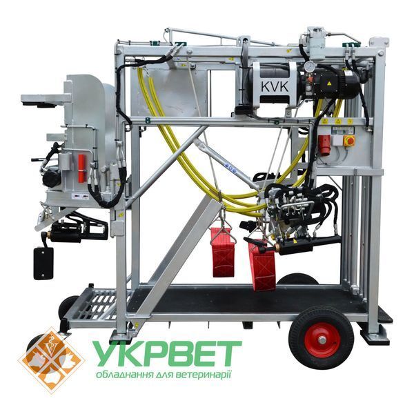 фото Станок для розчистки копит KVK 650-SР2 Hydra 0509-0906 УкрВет