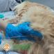 Ветеринарний жорсткий ендоскоп EV-1616 1121-0005 фото 2 УкрВет
