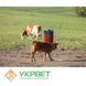 Щетка-чесалка HAPPYCOW на стойке 0511-0970 фото 5 УкрВет