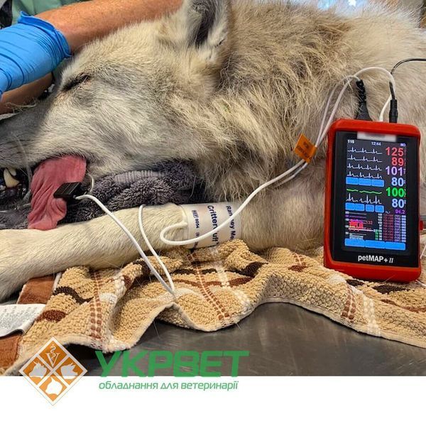 фото Ветеринарный тонометр petMAP +II ( 7457 )  NIBP,Temp, Analog SpO2 0106-1677d УкрВет
