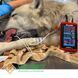 Ветеринарный тонометр petMAP +II ( 7457 )  NIBP,Temp, Analog SpO2 0106-1677d фото 4 УкрВет