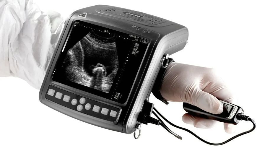 фото УЗД апарат для скотарства КХ 5200 з лінійним ректальним датчиком 0105-0028 УкрВет