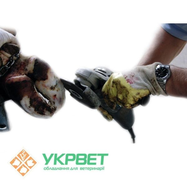 Диск (фреза) для обробки копит Profi, 125 мм 0508-0900 фото