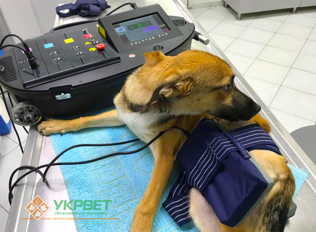 Багатофункціональний апарат для фізіотерапії EME Polyter Vet