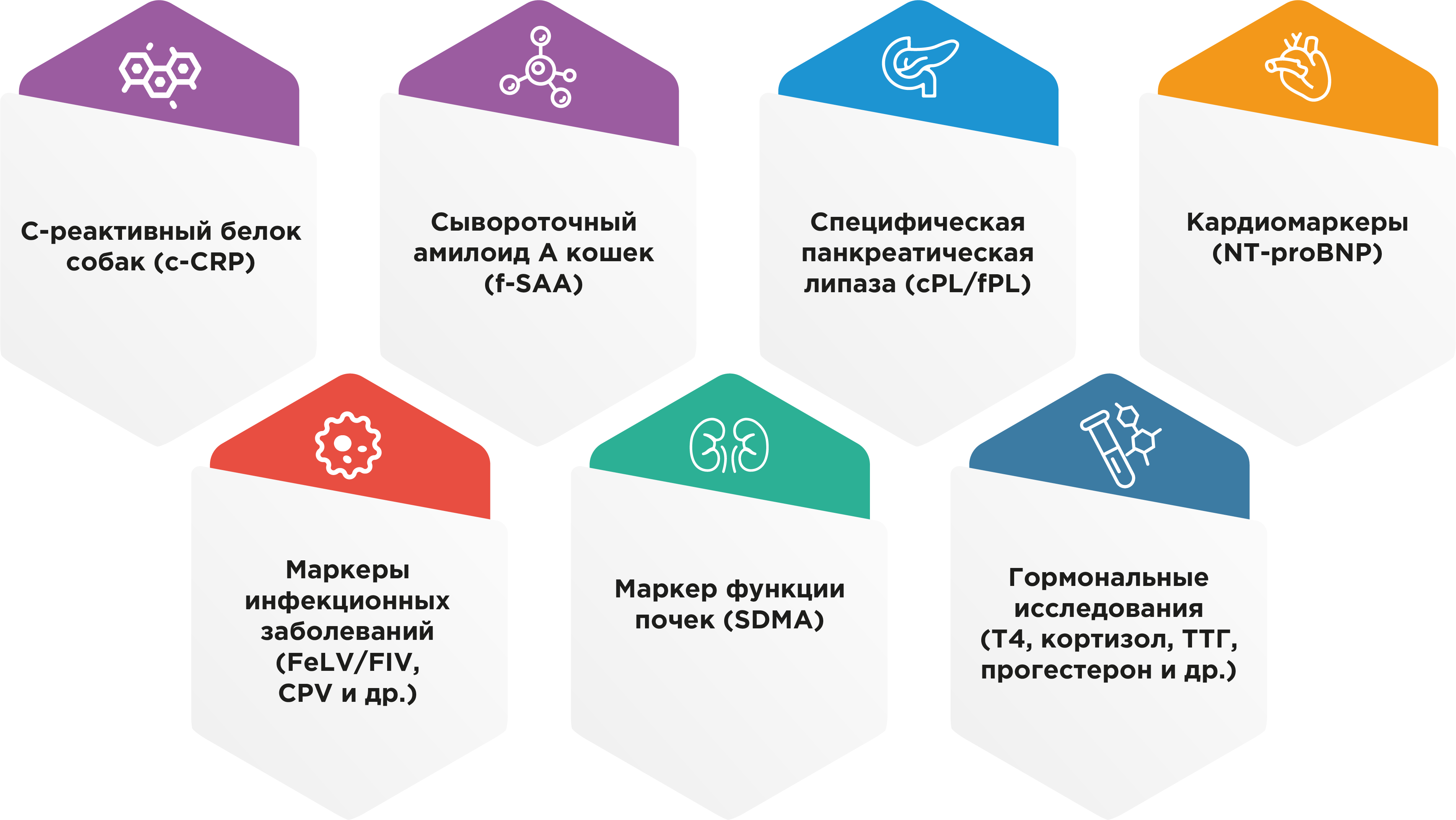 Морфологический мультифункциональный анализатор Seamaty VM2 AI