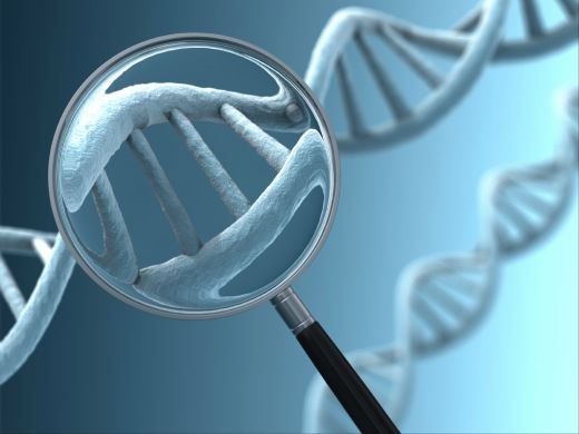Молекулярно-генетические методы исследования