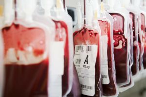 Тести на визначення групи крові у тварин