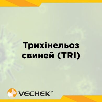 Экспресс-тесты для быстрого обнаружения антител к трихинеллезу свиней (TRI Ab), VITR‐402