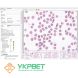 Автоматичний аналіз мазка крові тварин Vision Hema Vet 7 з 8