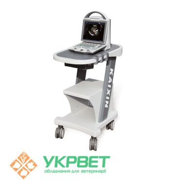 Ультразвуковой ветеринарный сканер с доплером DCU12