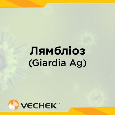 Экспресс-тест на лямблиоз (Giardia Ag), VIGA-602