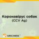 Експрес-тест для собак на на виявлення коронавірусу (CCV Ag), VICV-602 1 з 3
