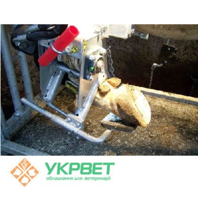 Станок для обработки копыт KVK Hydra Klov 650-SР2