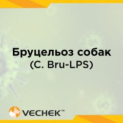 Экспресс-тест для обнаружения бруцеллеза собак (C. Bru-LPS Ab), VICBL-402