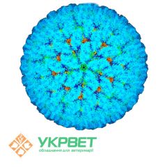 ИФА тест-система IDVet для выявления антител к вирусу блутанг (Bluetongue)