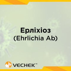 Экспресс-тест для обнаружения эрлихиоза собак (Ehrli Ab), VIEH-402