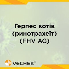 Экспресс-тест на вирус герпеса котов (ринотрахеит), FHV Ag, VIFH-502